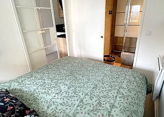 公寓 Confort Tres Proche 滨海维莱